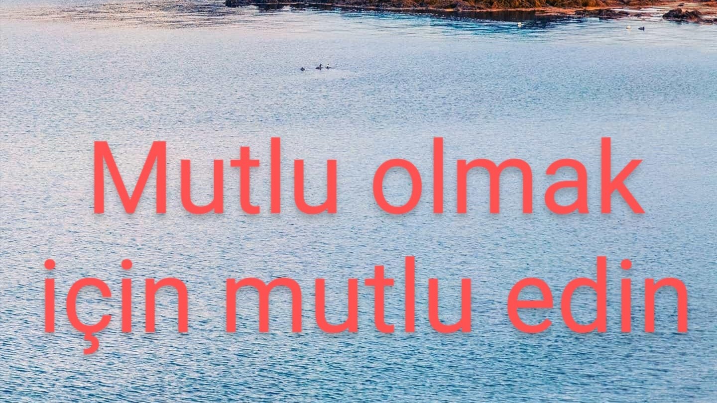 Manşet 1